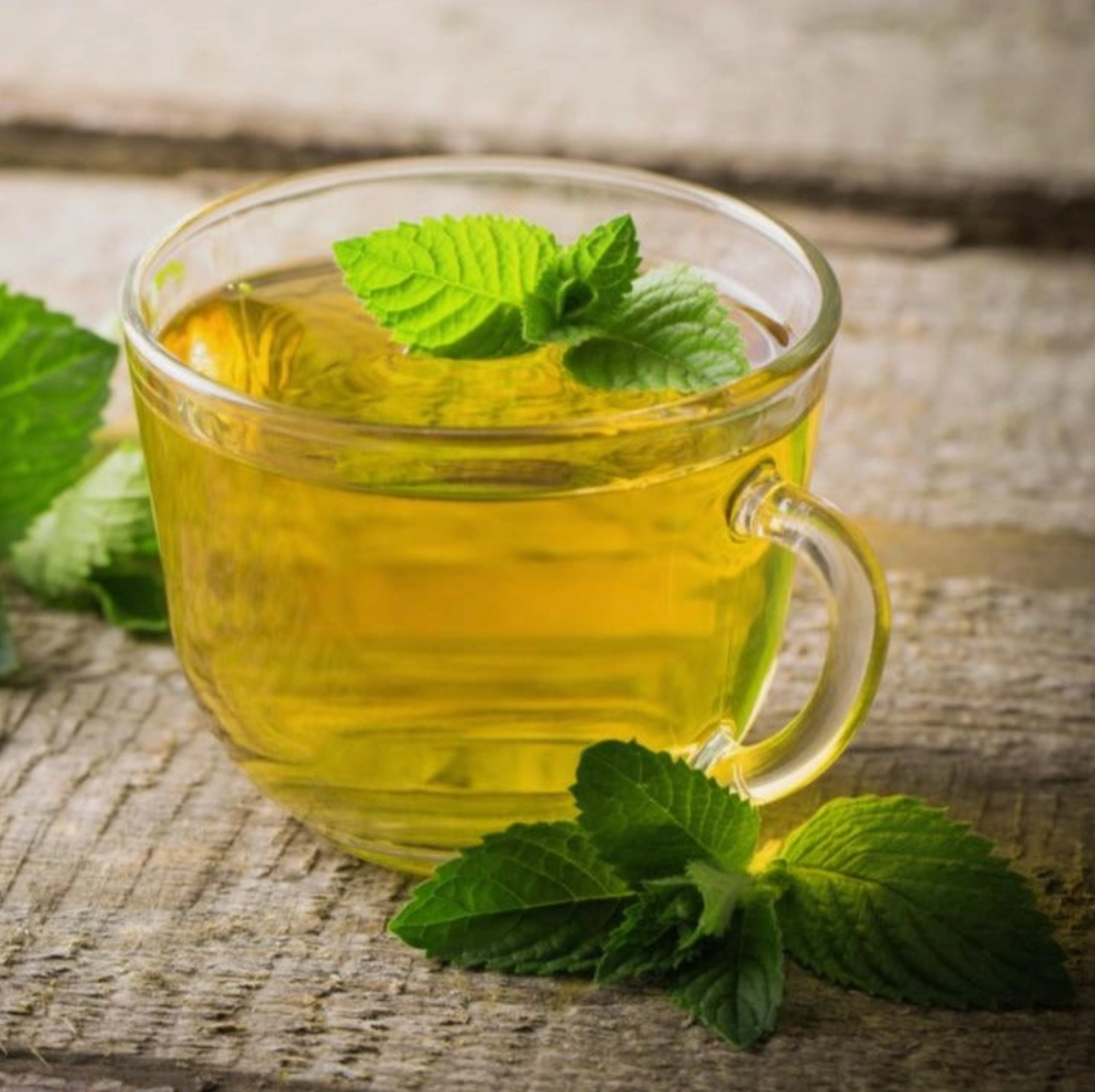 Peppermint Herbal Tea